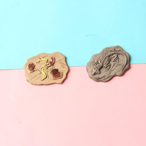 Acxico 20-Piece DIY Mini Resin Fossil Model Ornaments, Small Statue Ornaments & Jewelry Accessories for DIY Crafts, Decorative Displays, Holiday Decorations & Birthday Accents in Saudi Arabia