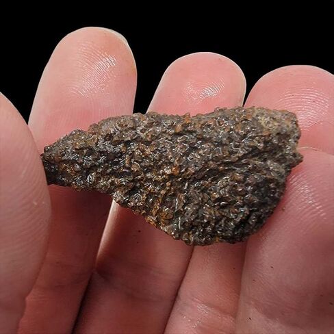 Handful of Authentic Gem Dinosaur Bone Fragments and Slivers! in Saudi Arabia