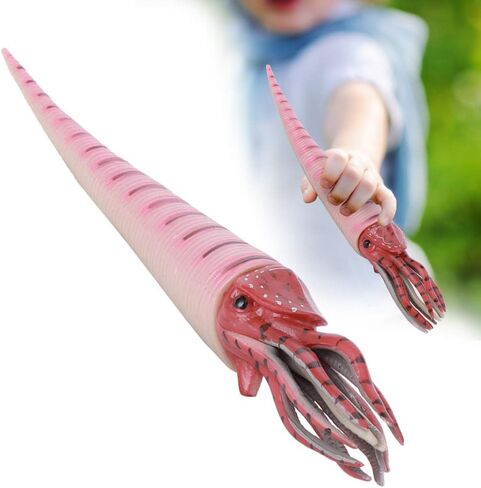محاكاة نموذج Orthoceras الحلي سطح المكتب زينة زخرفية للأطفال لعبة (PL127-1526) in Saudi Arabia