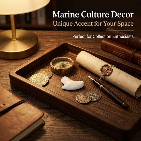 نسخة طبق الأصل من أسنان قرش النمر، مظهر أحفوري واقعي مع لمسة نهائية لؤلؤية قزحية، حرفة طبيعية صديقة للبيئة، تأتي مع صندوق هدايا أسود وحقيبة مخملية in Kuwait