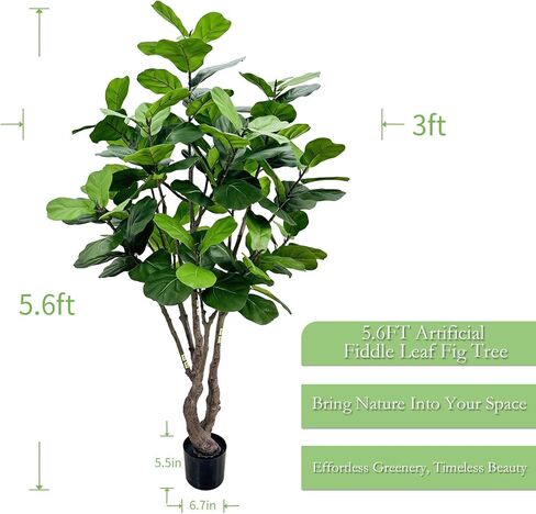 أوراق Filddle الاصطناعية TREE TREE 8FT ، FAUX TREE TREE INDOOR TREENTELSION TREEN in Kuwait