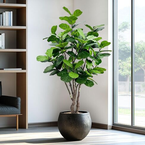 أوراق Filddle الاصطناعية TREE TREE 8FT ، FAUX TREE TREE INDOOR TREENTELSION TREEN in Kuwait