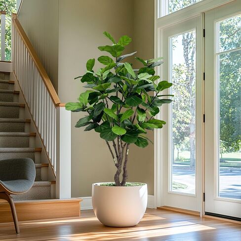 أوراق Filddle الاصطناعية TREE TREE 8FT ، FAUX TREE TREE INDOOR TREENTELSION TREEN in Kuwait