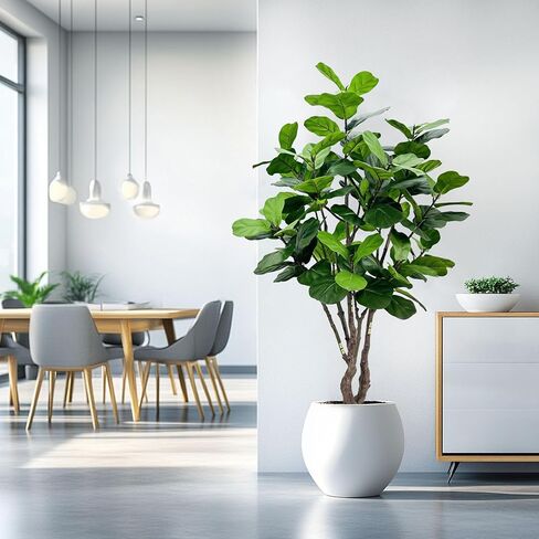 أوراق Filddle الاصطناعية TREE TREE 8FT ، FAUX TREE TREE INDOOR TREENTELSION TREEN in Kuwait