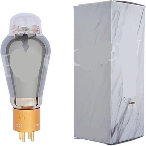 300B-TII أنبوب كلاسيكي بديل 300B WE300B HiFi الصوت أنبوب أمبير مكبر للصوت عدة DIY (1 قطعة) in Saudi Arabia
