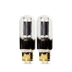 845-T 845T أنبوب مفرغ HiFi مجموعة مضخم الصوت DIY (1 قطعة) in Kuwait