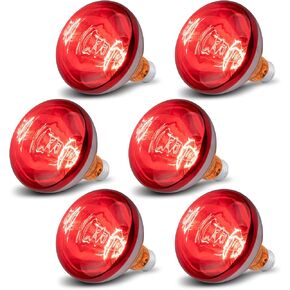 6 Pack 250W Heat Lamp Bulbs for Chicks, R40 Brooder Heat Lamp for Chickens, Infrared Reflector Heating Bulbs, Incandescent Heat for Pet, Bathroom, Food in Saudi Arabia