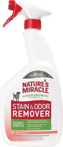 Nature's Miracle Dog Stain و Roador Remover ، Everyday Mess Enzymatic Formula ، 24 Fl Oz in Kuwait