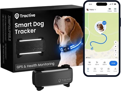 Tractive XL GPS Dog Tracker (50 lbs+) | Real-time Pet Location Tracker | Health & Wellness Alerts | Virtual Fence for Dogs | Dog Collar Attachment (Green) in Kuwait