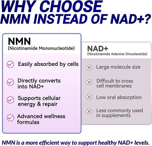 مكمل NMN 1000 ملغ لكل حصة، 99.9% أحادي نيوكليوتيد النيكوتيناميد النقي، NAD+ يدعم الطاقة الخلوية والشيخوخة الصحية للرجال والنساء، 60 كبسولة (كمية تكفي لمدة 30 يومًا)، تم اختباره من قبل طرف ثالث، cGMP in Kuwait