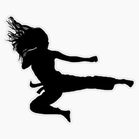 TKD الطائر الجانب ركلة الفينيل ملصق مضاد للمياه ملصق سيارة محمول جدار نافذة ملصقات للسيارة متعددة الأشكال 5" in Saudi Arabia