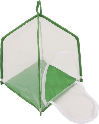 Cage Transparent Lightweight Cage for Cultivating Butterflies and Small, Easy Assembly for Science Education Experiment, and Entomology EnthusiastsWhite with Green in Saudi Arabia