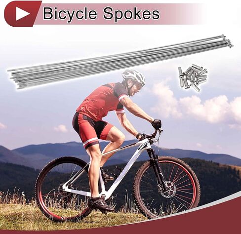 12 مجموعة 14 جرام دراجة المتحدث 299 مللي متر عجلة الدراجة المتحدث 304 الفولاذ المقاوم للصدأ الفضة لهجة in Kuwait