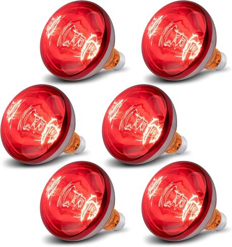 6 Pack 250W Heat Lamp Bulbs for Chicks, R40 Brooder Heat Lamp for Chickens, Infrared Reflector Heating Bulbs, Incandescent Heat for Pet, Bathroom, Food in Saudi Arabia