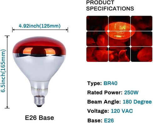 6 Pack 250W Heat Lamp Bulbs for Chicks, R40 Brooder Heat Lamp for Chickens, Infrared Reflector Heating Bulbs, Incandescent Heat for Pet, Bathroom, Food in Saudi Arabia