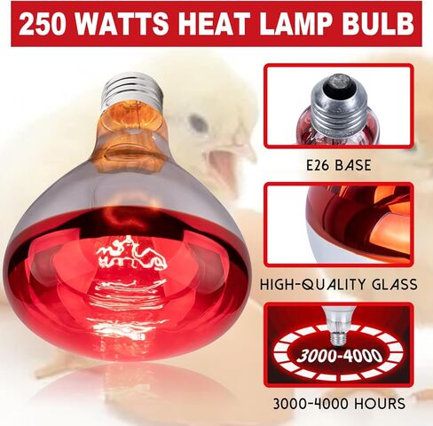 6 Pack 250W Heat Lamp Bulbs for Chicks, R40 Brooder Heat Lamp for Chickens, Infrared Reflector Heating Bulbs, Incandescent Heat for Pet, Bathroom, Food in Saudi Arabia
