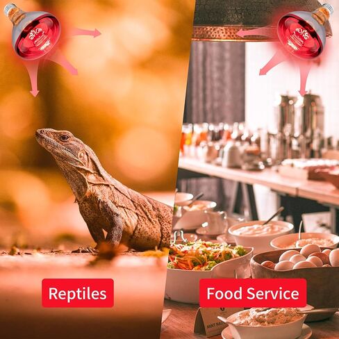 6 عبوات من مصابيح الحرارة بقدرة 250 وات للكتاكيت، مصباح الحرارة R40 للحاضن للدجاج، مصابيح تسخين عاكسة بالأشعة تحت الحمراء، حرارة ساطعة للحيوانات الأليفة، الحمام، الطعام in Kuwait