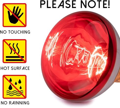 6 عبوات من مصابيح الحرارة بقدرة 250 وات للكتاكيت، مصباح الحرارة R40 للحاضن للدجاج، مصابيح تسخين عاكسة بالأشعة تحت الحمراء، حرارة ساطعة للحيوانات الأليفة، الحمام، الطعام in Kuwait