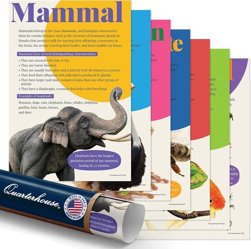 Quarterhouse Animal Groups Poster Set, Science Classroom Learning Materials for K-12 Students and Teachers, Set of 7, 12x18, Extra Durable in Kuwait