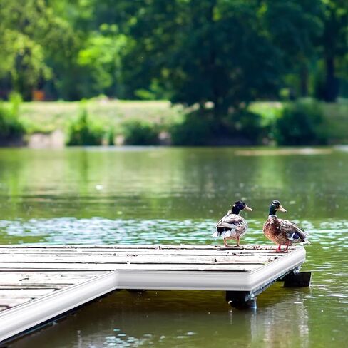 Frienda 16 Ft Standard D Dock Bumpers, Full Face Edging Side Gard PVC Profile Dock Guard for Straight Edge and Side Full Protection Boat Protection, White in Kuwait