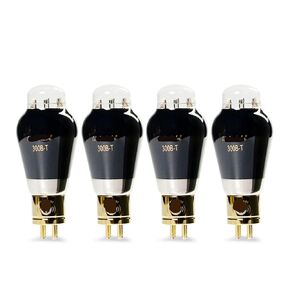 أنبوب فراغ 300B-T 300BT مُضخّم صوت عدة DIY (1 قطعة) in Kuwait