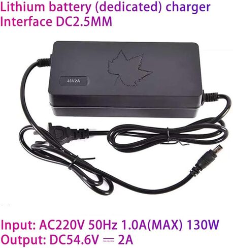 48V E-Bike Battery 10.4Ah for Jasion EB7 Folding Built-in Electric Bicycle for Lectric XP Lithium Battery for 1000W 800W 750W 500W 350W Bike Motor with Charger and BMS in Saudi Arabia