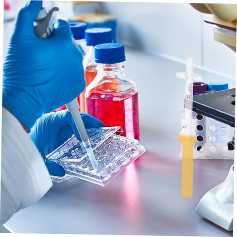 GARVALON 2pcs Glass Cell Tissue Homogenizer Lab Pestle Tool for Laboratory Research in Kuwait