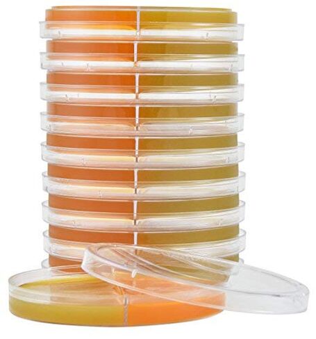 Derm-Duet، RSM/DTM، وسط اختبار التبوغ السريع/وسط اختبار الفطريات الجلدية، صفيحة ثنائية 15 × 100 مم، اطلب حسب العبوة المكونة من 10 قطع، من شركة Hardy Diagnostics in Kuwait