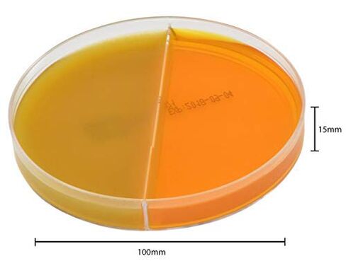 Derm-Duet، RSM/DTM، وسط اختبار التبوغ السريع/وسط اختبار الفطريات الجلدية، صفيحة ثنائية 15 × 100 مم، اطلب حسب العبوة المكونة من 10 قطع، من شركة Hardy Diagnostics in Kuwait