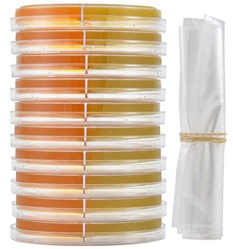 Derm-Duet، RSM/DTM، وسط اختبار التبوغ السريع/وسط اختبار الفطريات الجلدية، صفيحة ثنائية 15 × 100 مم، اطلب حسب العبوة المكونة من 10 قطع، من شركة Hardy Diagnostics in Kuwait