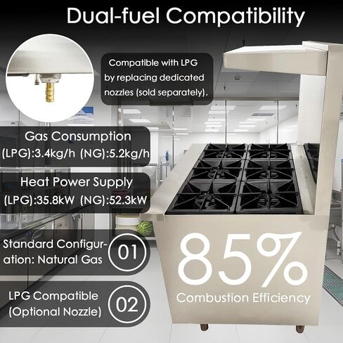 TECHTONGDA Commercial Gas Range& Oven Stainless Steel Gas Hot Plate Stove with 6 Burners & Oven Base for Tea Restaurant and Chain Fast Food Outlet in Saudi Arabia