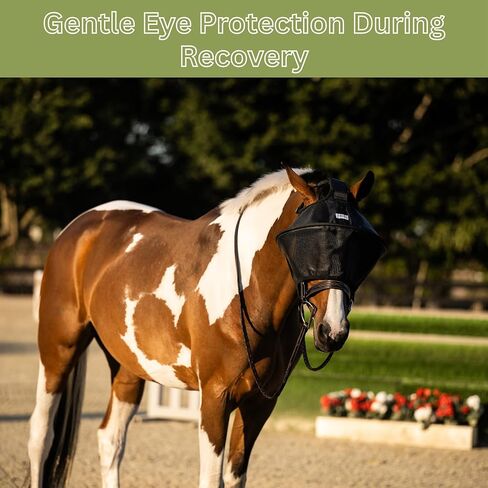 حماية 100% من الأشعة فوق البنفسجية للعين - قناع ذبابة الحصان للركوب والتعافي، درع مدمج معزز للأشعة فوق البنفسجية، مقاس قابل للتعديل، مسامي، يتم ربطه بالرسن أو اللجام in Kuwait