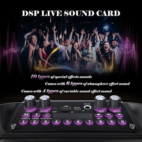 Karaoke Machine for Adults & Kids, 5.3 Bluetooth Speaker Portable with 2 Wireless Microphones, Bass/Treble Adjustment, Remote and LED Light, Support REC/FM/AUX/USB/TF for Home Party, Blackpink in Saudi Arabia