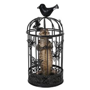 Real Alligator Specimen Iron Cage, Handcrafted Taxidermy Animals, Crocodile Specimen for Gothic Home DéCor in Kuwait