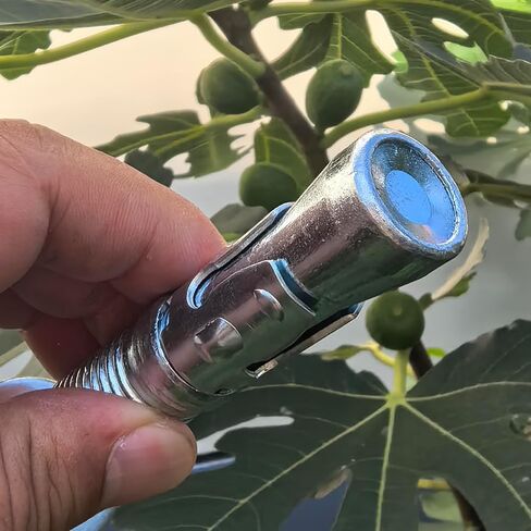 SANTIE 1/2" x 5-1/2" Galvanized Hex Head Concrete Wedge Anchors - 25-Pack in Kuwait