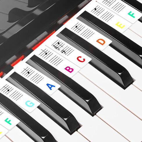 Removable Piano Keyboard Note Labels, 61 Key Full Size Silicone Piano Keyboard Labels for Beginners, Colourful Pianos Key Music Notes Letter Label Reusable with Box(Rainbow) in Saudi Arabia