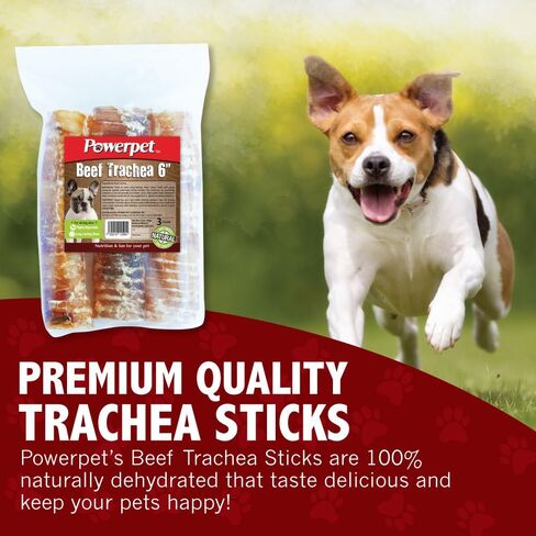 Powerpet Beef Trachea Dog Cog - 100 ٪ جميعها طبيعية وقابلة للهضم للغاية - معالجة منخفضة الدهون ، غنية بالبروتين - مثالية لجميع أحجام السلالات - صحية ولذيذة وطويلة الأمد - للأسنان وصحة اللثة - 12 in Kuwait