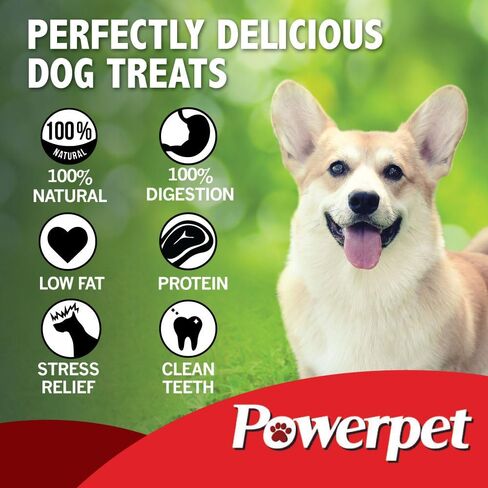 Powerpet Beef Trachea Dog Cog - 100 ٪ جميعها طبيعية وقابلة للهضم للغاية - معالجة منخفضة الدهون ، غنية بالبروتين - مثالية لجميع أحجام السلالات - صحية ولذيذة وطويلة الأمد - للأسنان وصحة اللثة - 12 in Kuwait