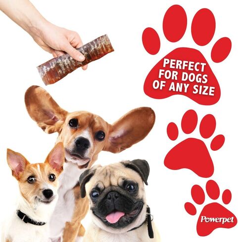 Powerpet Beef Trachea Dog Cog - 100 ٪ جميعها طبيعية وقابلة للهضم للغاية - معالجة منخفضة الدهون ، غنية بالبروتين - مثالية لجميع أحجام السلالات - صحية ولذيذة وطويلة الأمد - للأسنان وصحة اللثة - 12 in Kuwait