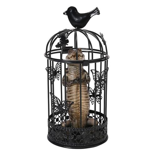 Real Alligator Specimen Iron Cage, Handcrafted Taxidermy Animals, Crocodile Specimen for Gothic Home DéCor in Kuwait