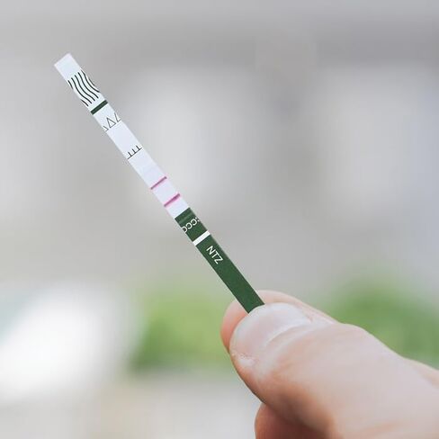 BTNX Rapid Response Nitazene Test Strips (Liquid/Powder) - 100 Tests in Saudi Arabia