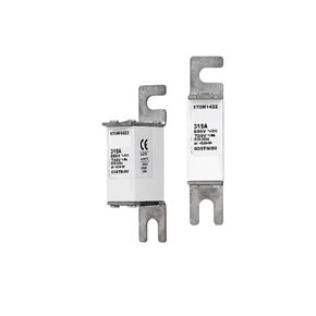 High Breaking Capacity Fuse 170M3958, 170M3928, 170M3959, 170M3929(170M3959) in Kuwait