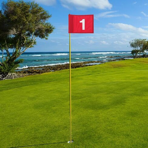 TOYANDONA 2pcs Portable Golf Pin Flags Numbered Practice Flags with No.1 for Golf Training and Yard Practice in Saudi Arabia