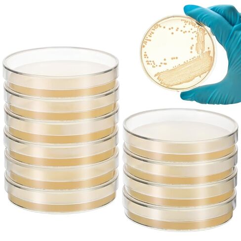 Totority Agar Petri Dishes, 10pcs Pre-Poured Nutrient Agar Plates 90mm Petri Dishes Sterile for Microbiology Lab Experiments Science Education Projects in Saudi Arabia