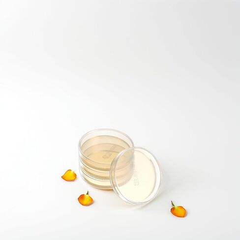 Totority Agar Petri Dishes, 10pcs Pre-Poured Nutrient Agar Plates 90mm Petri Dishes Sterile for Microbiology Lab Experiments Science Education Projects in Saudi Arabia