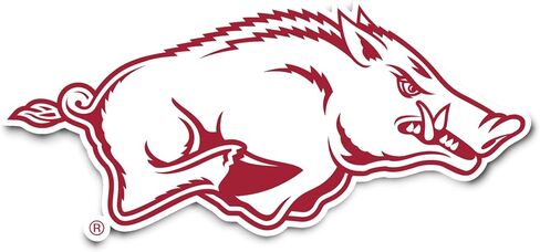 ملصق جامعة صبار الصحراء في أركنساس ملصق Razorbacks U of A Hogs ملصق حائط من الفينيل‏ للكمبيوتر المحمول وزجاجة مياه وقصاصات السيارة (IND 3) in Kuwait