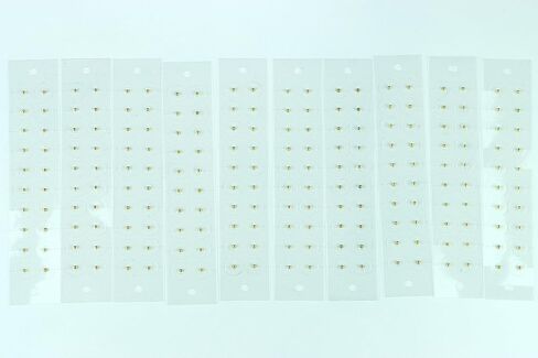 بذور الاذن (ذهبية، 100 قطعة مع الأدوات) in Saudi Arabia