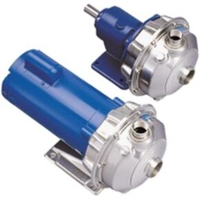 Goulds 1ST1C1E4 Centrifugal Pump in Kuwait