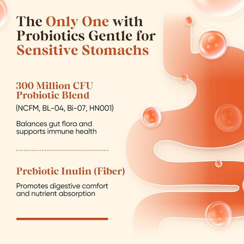 Fidus Mushroom Wellness Powder | 16 فطر في مزيج قوي | 17300mg Adaptogens للطاقة العقلية والتوازن المناعي | صيغة نباتية | 90 حصص in Kuwait