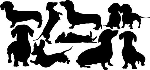 Pet Dog Dachshund Silhouette 15 Cute Stickers Pack - Sausage Dog Gifts - Car Bumper Sticker - Light Switch Sticker - Wall Decal - Dachshund Gifts - Scrapbook Stickers (Small, Black) in Kuwait